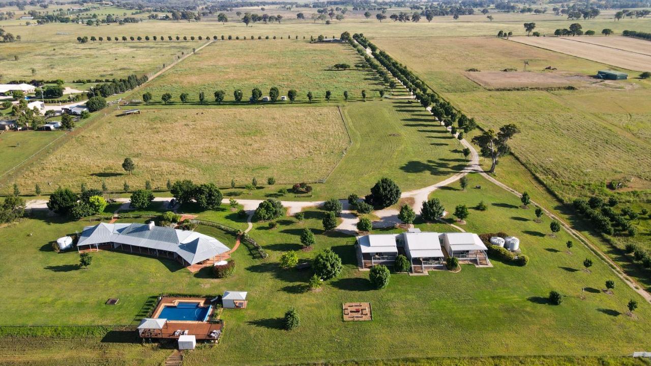 Owl Head Lodge Gulgong Εξωτερικό φωτογραφία