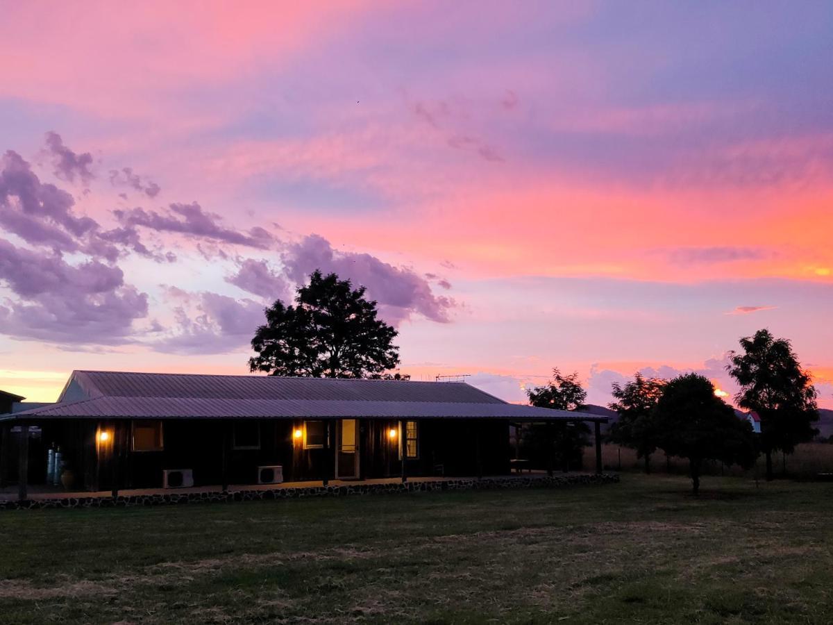 Owl Head Lodge Gulgong Εξωτερικό φωτογραφία