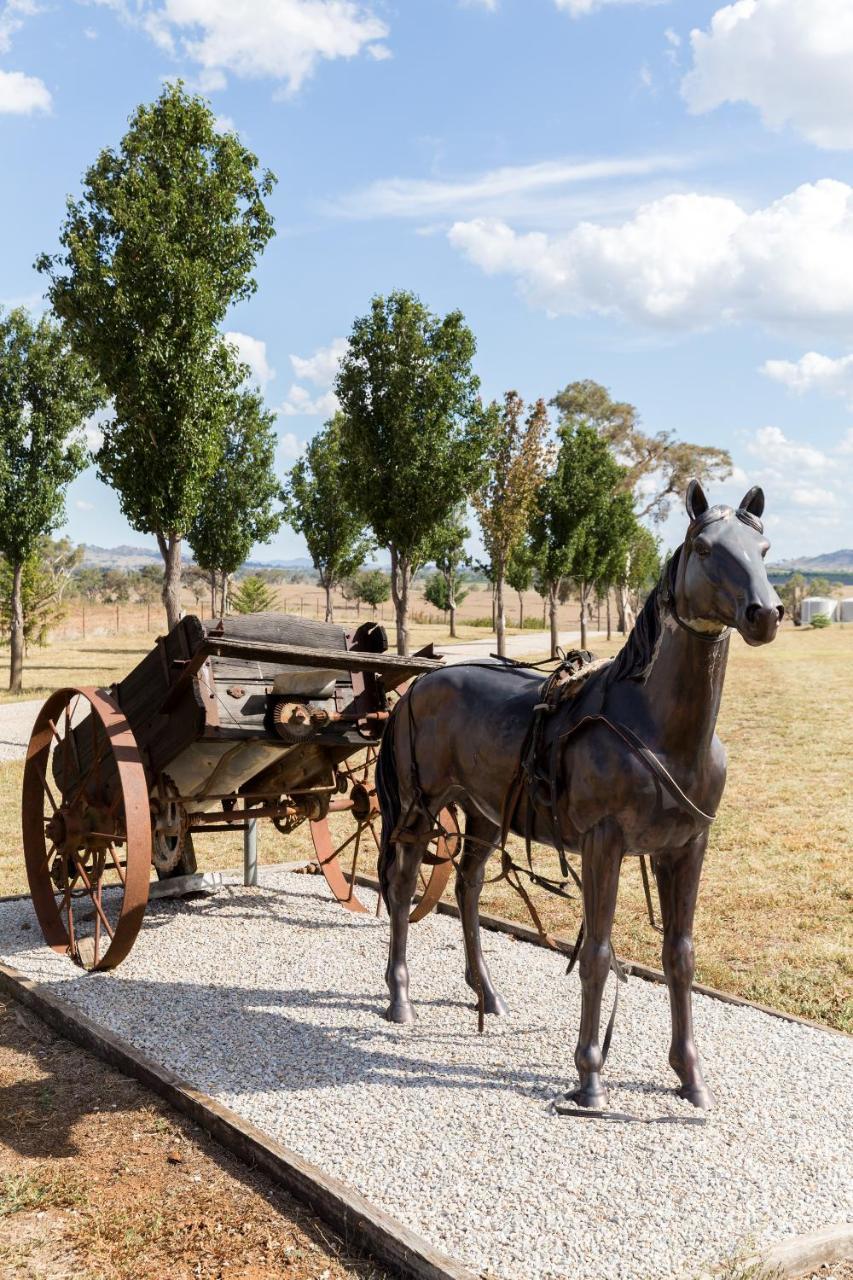 Owl Head Lodge Gulgong Εξωτερικό φωτογραφία